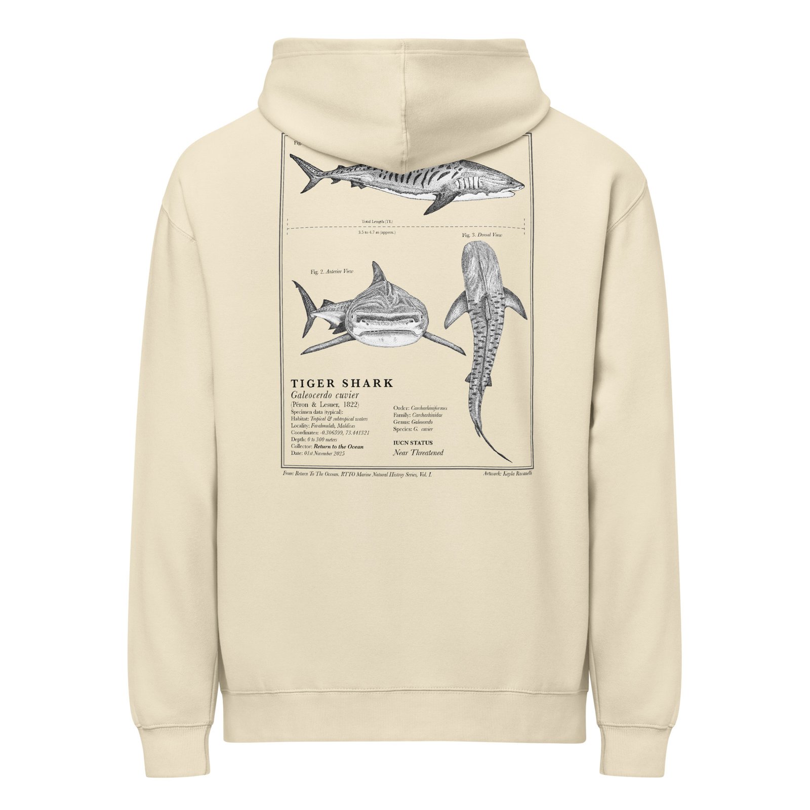 Tiger Shark Hoodie - Image 3