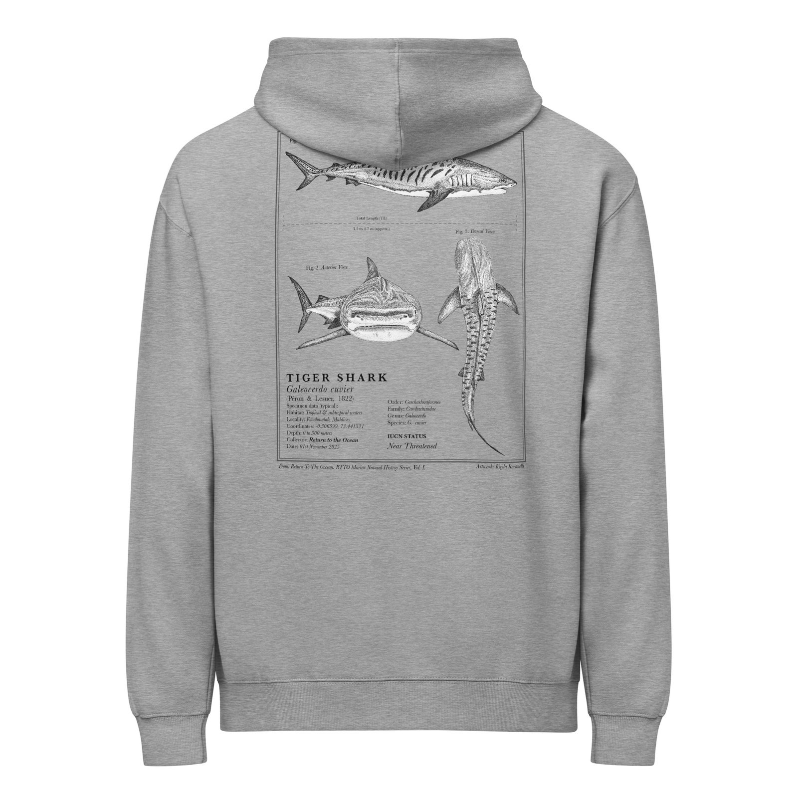 Tiger Shark Hoodie - Image 7
