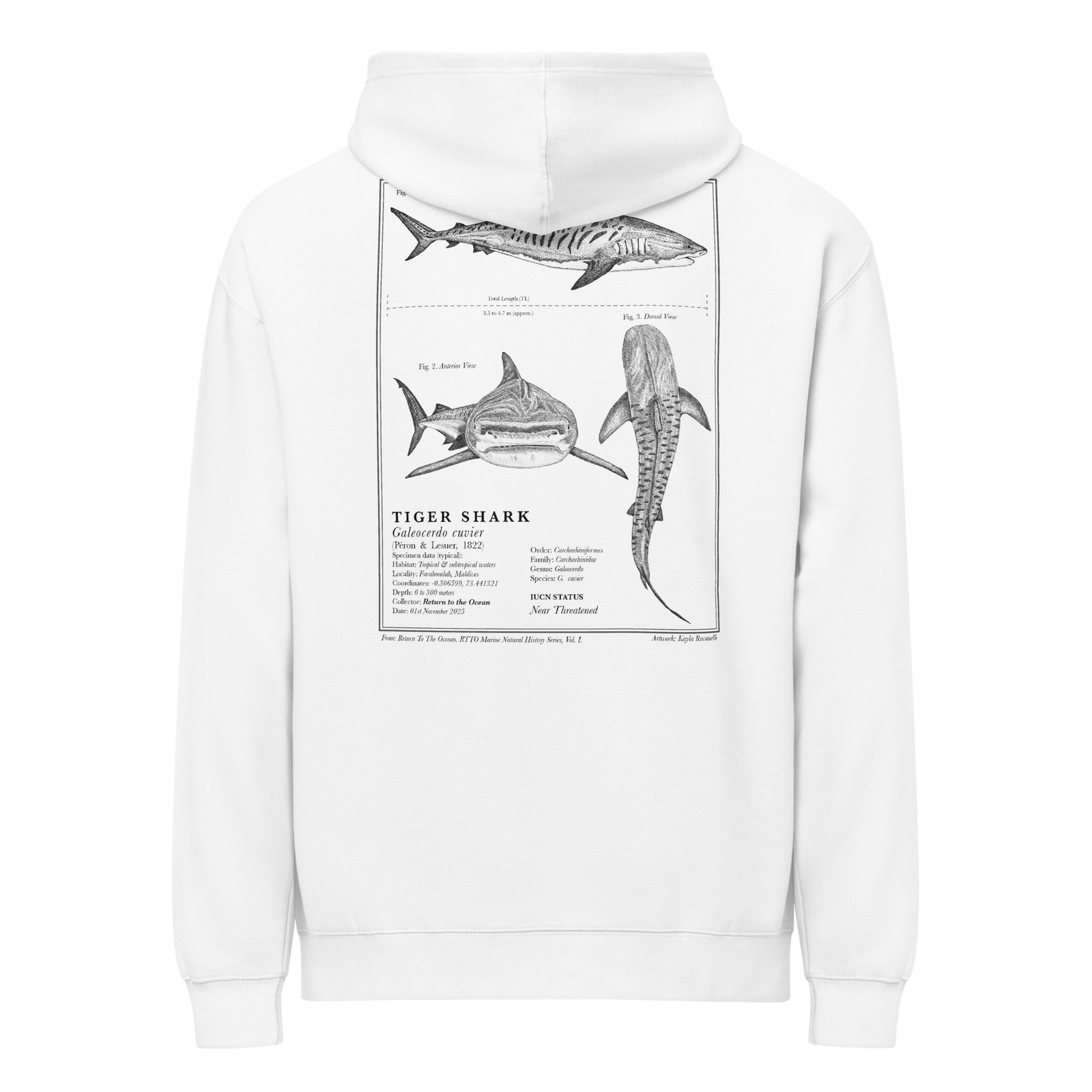 Tiger Shark Hoodie - Image 5