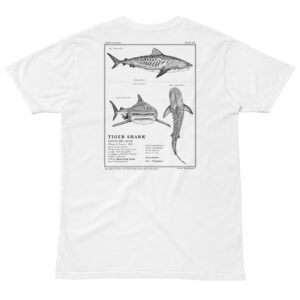 Tiger Shark