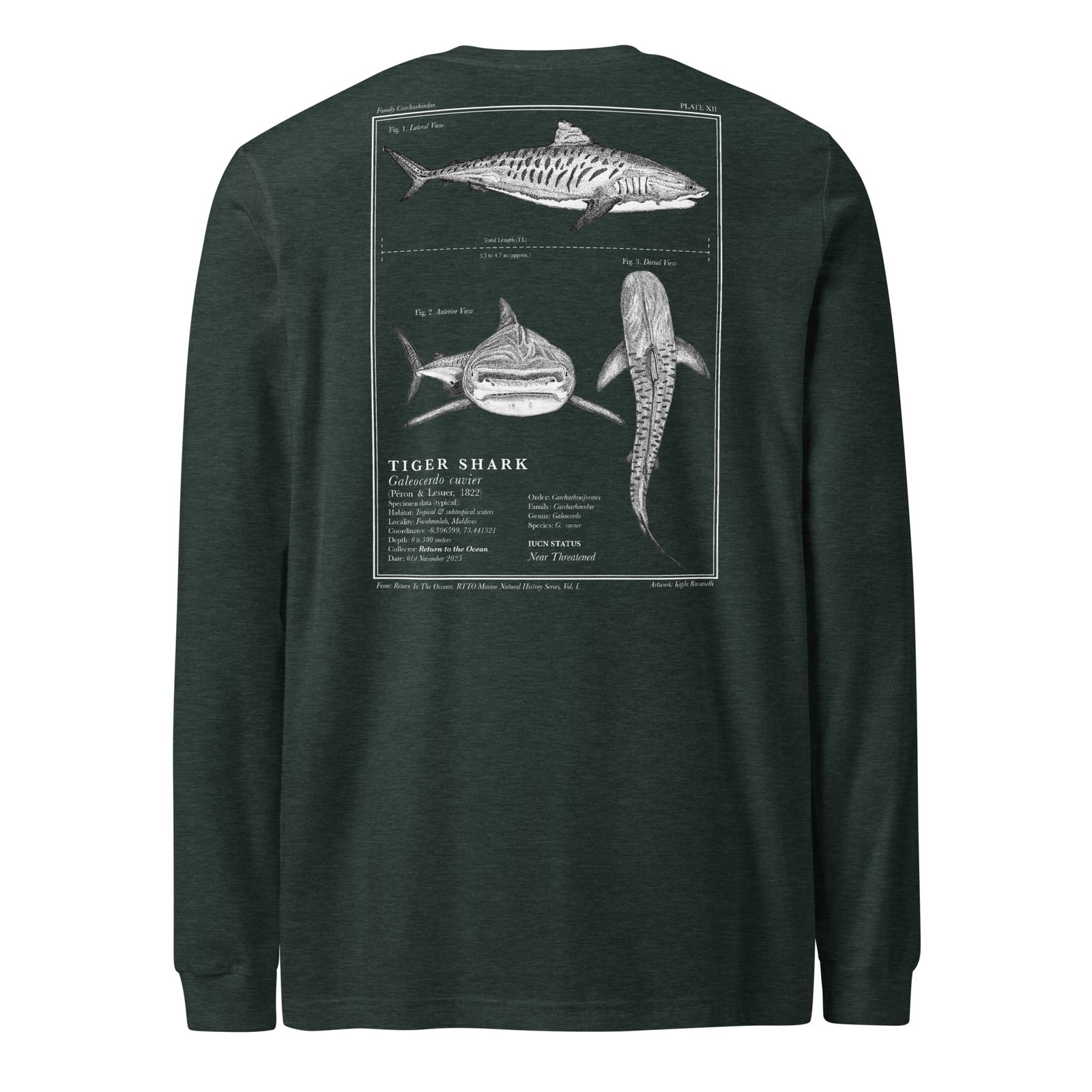 Tiger Shark Long Sleeve Tee - Image 8