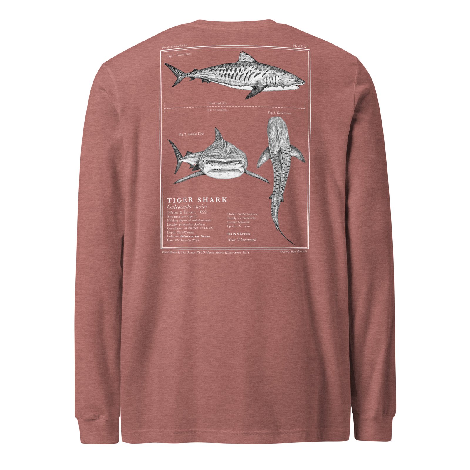 Tiger Shark Long Sleeve Tee - Image 12