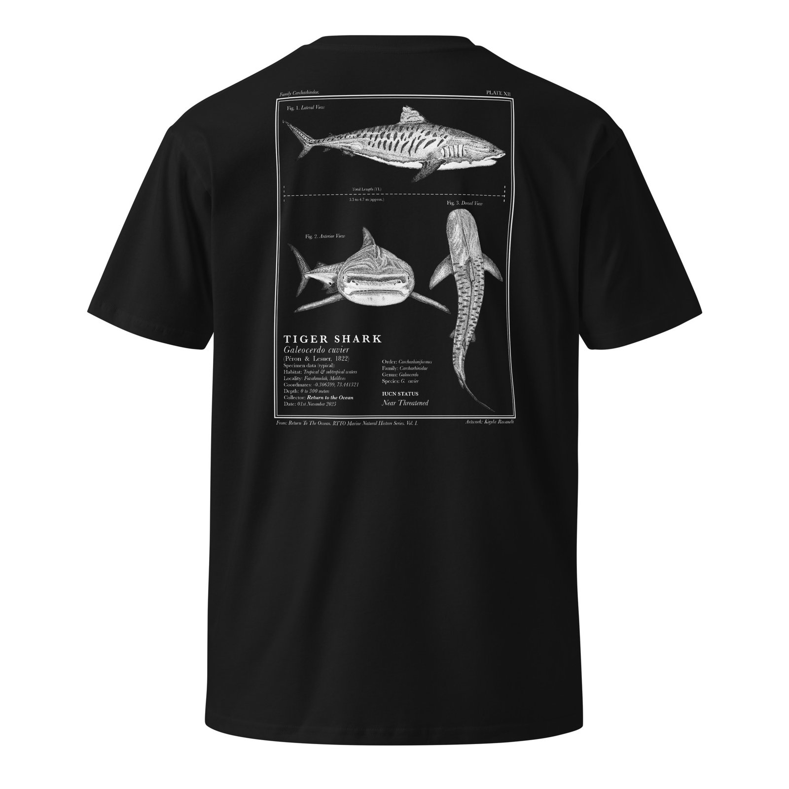 Tiger Shark T-Shirt - Image 6