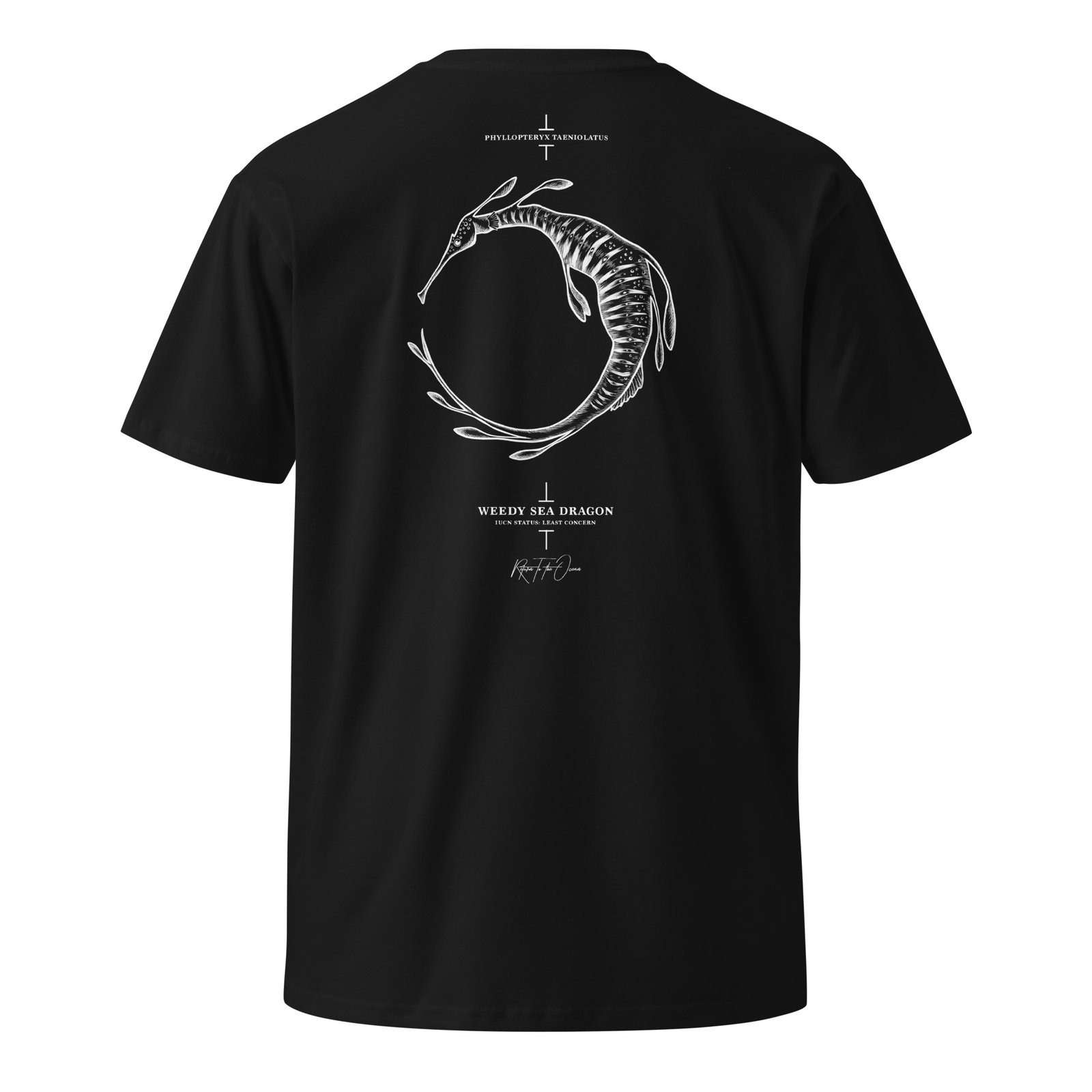 Weedy Sea Dragon T-Shirt - Image 5