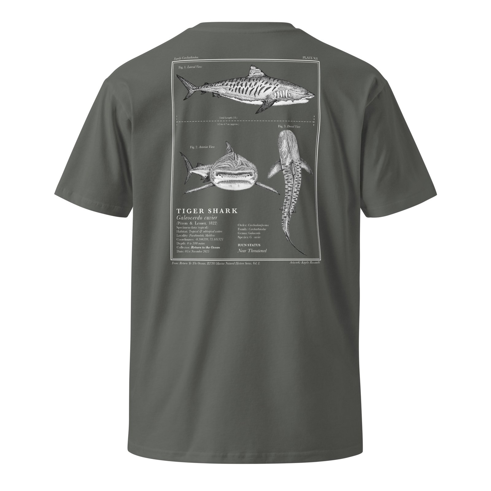 Tiger Shark T-Shirt - Image 12