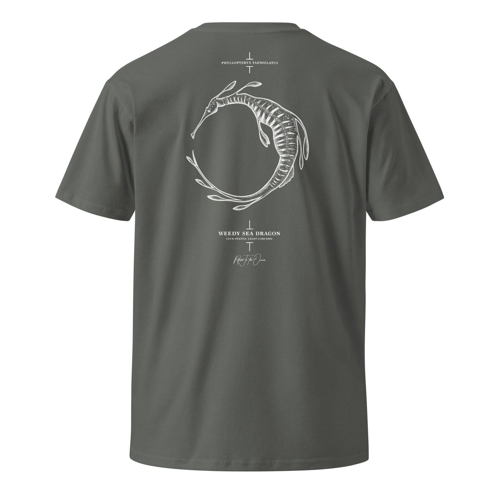 Weedy Sea Dragon T-Shirt - Image 4