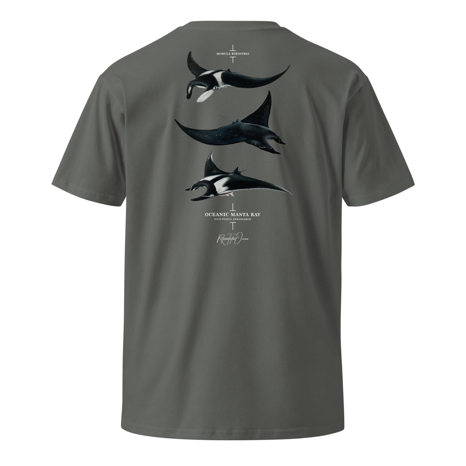 Oceanic Manta Ray T-Shirt - Image 9