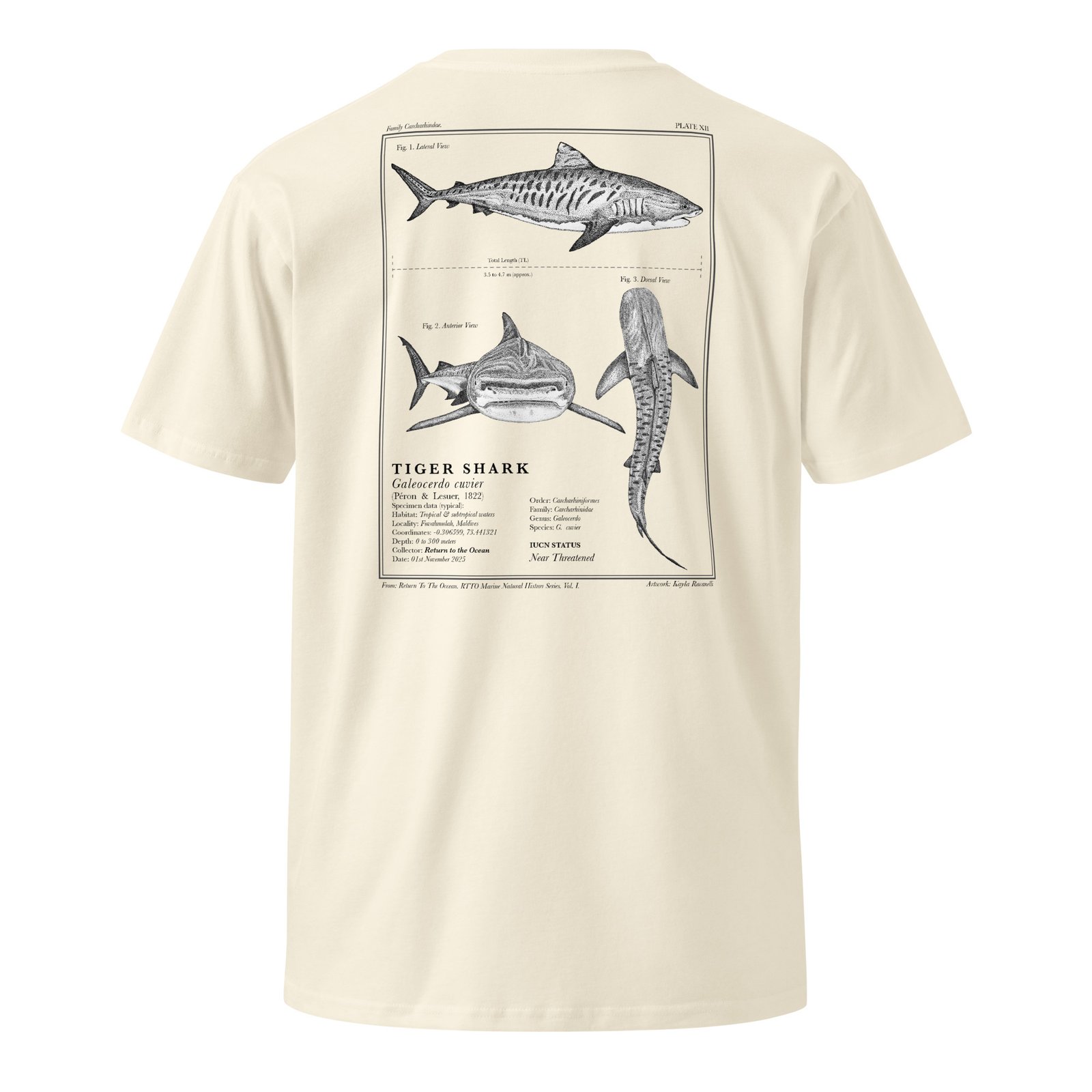 Tiger Shark T-Shirt - Image 4