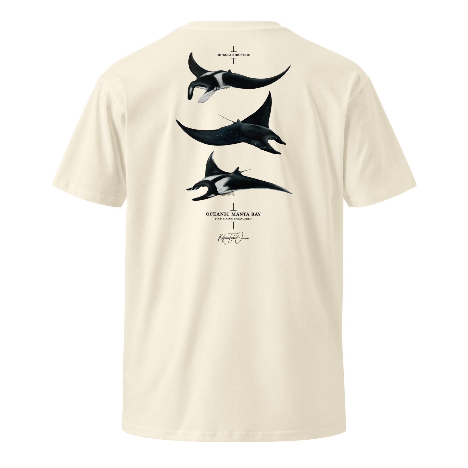 Oceanic Manta Ray T-Shirt - Image 12