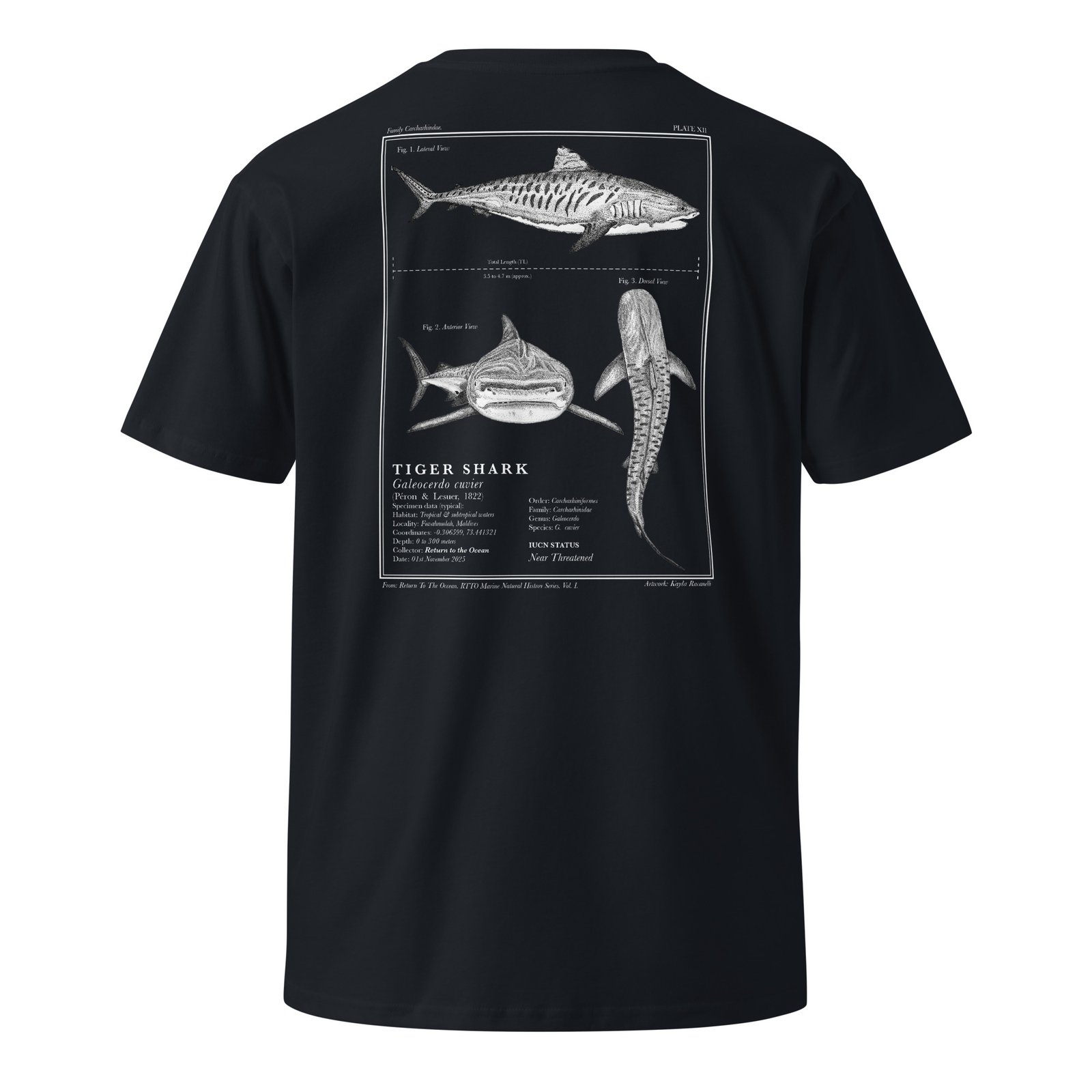 Tiger Shark T-Shirt - Image 8