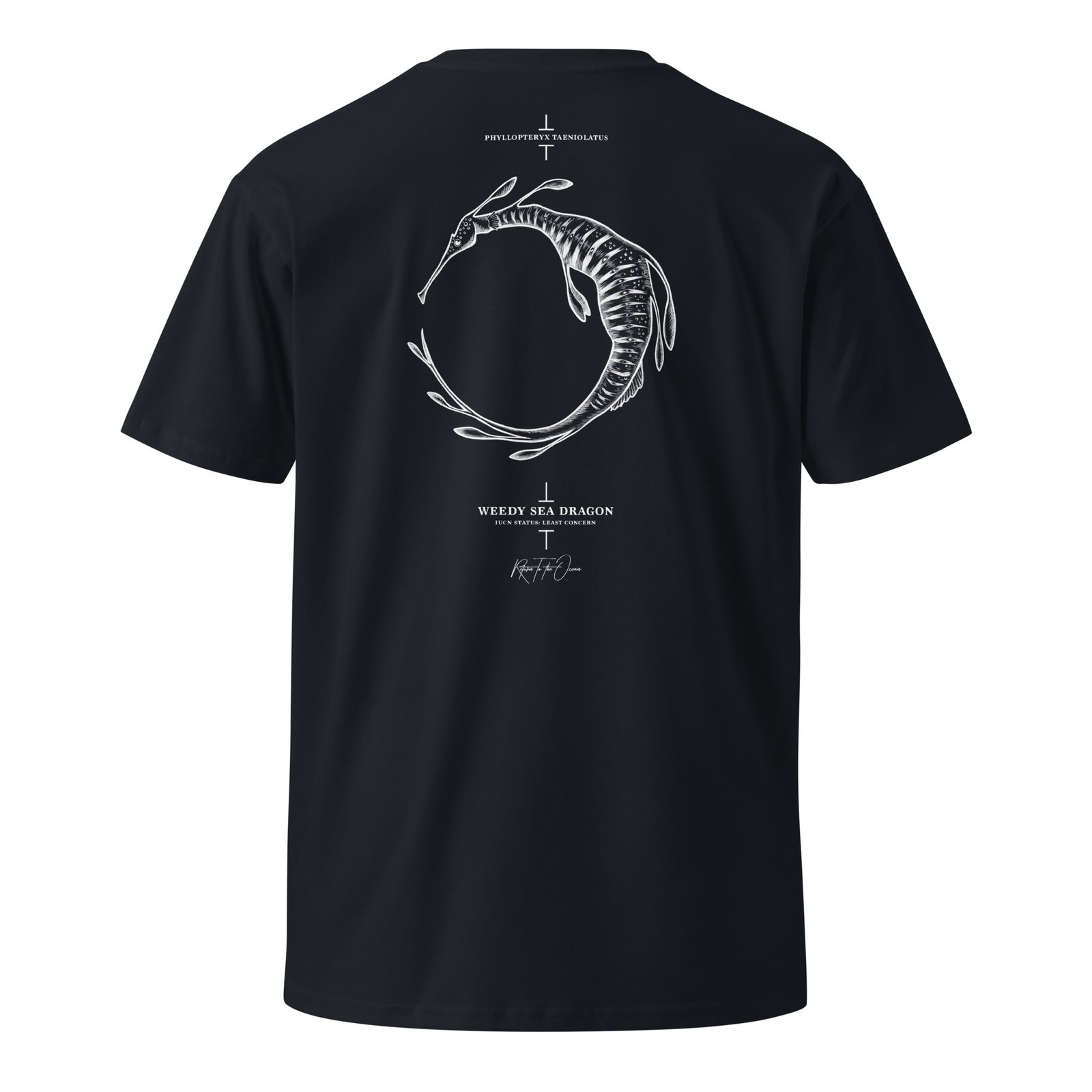 Weedy Sea Dragon T-Shirt - Image 7