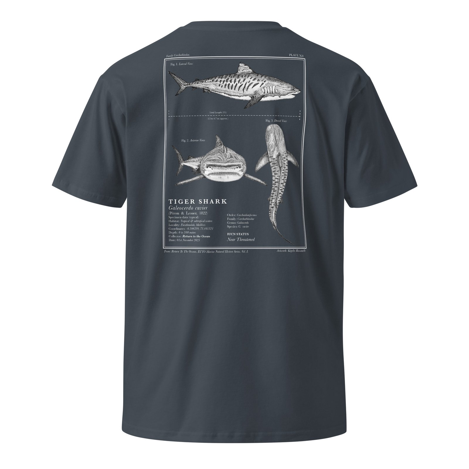 Tiger Shark T-Shirt - Image 10