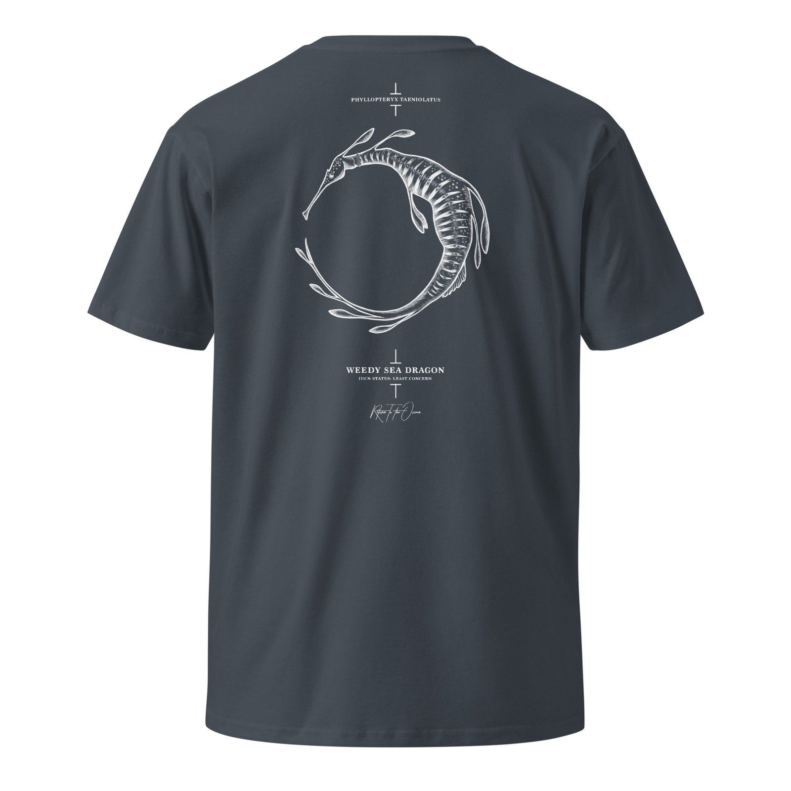 Weedy Sea Dragon T-Shirt - Image 8
