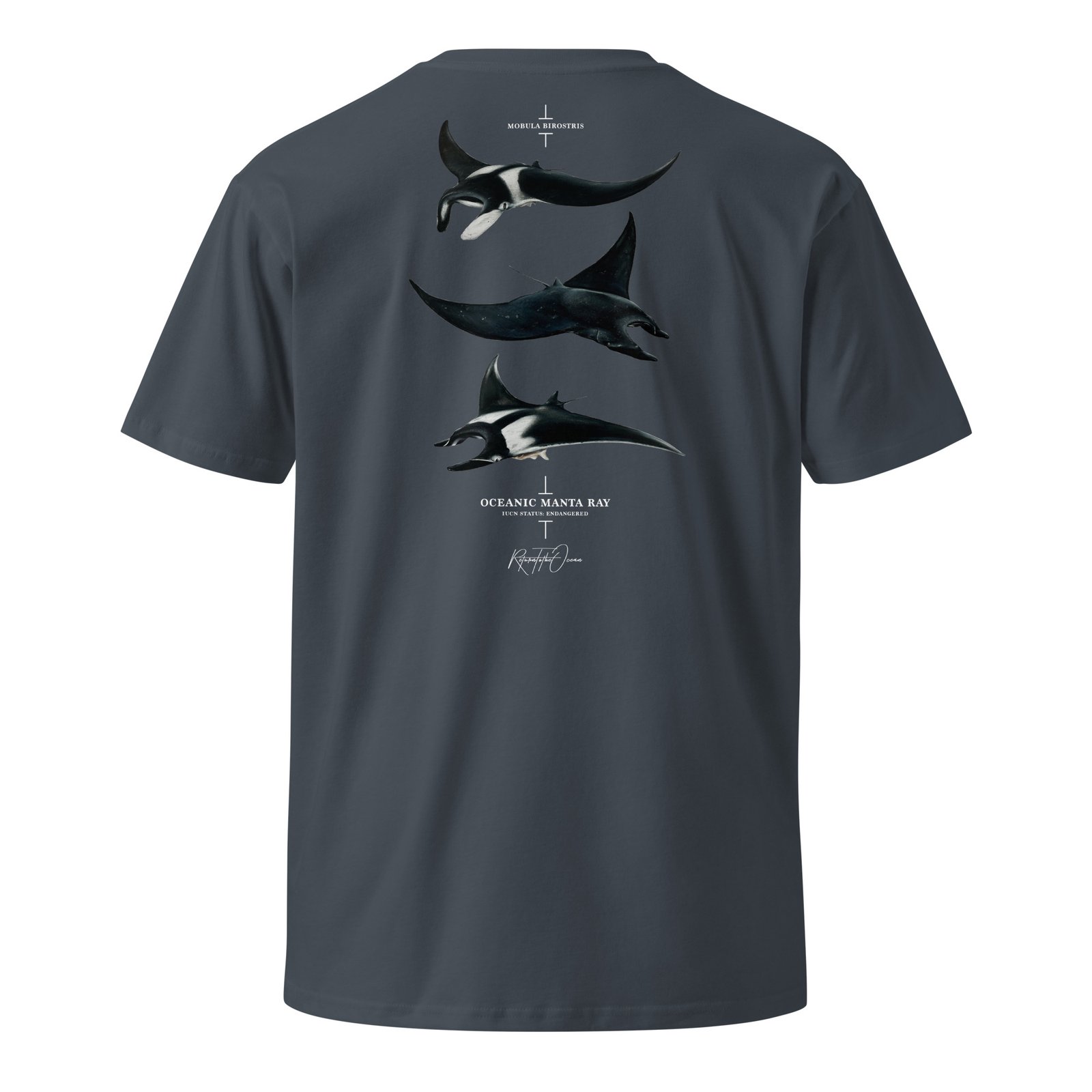 Oceanic Manta Ray T-Shirt - Image 8