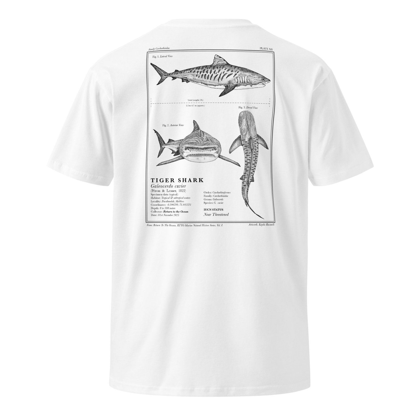 Tiger Shark T-Shirt