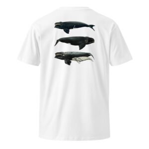 Right Whale T-Shirt