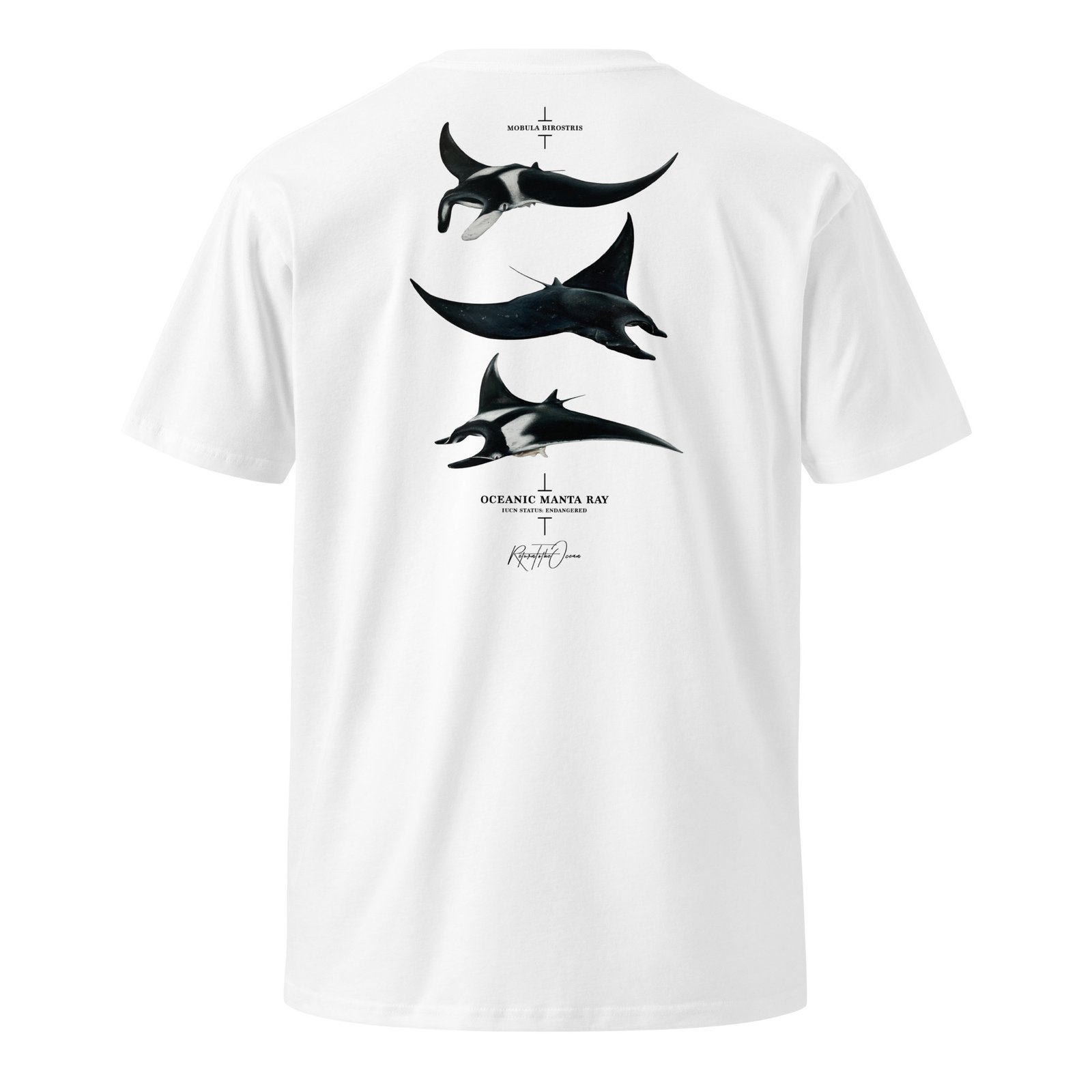 Oceanic Manta Ray T-Shirt