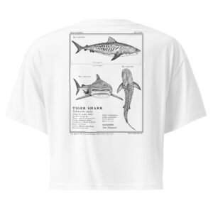 Tiger Shark Cropped Tee